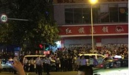 成都深夜爆料最新消息,揭秘城市夜生活新动态