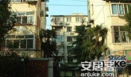 大连金虹西路最新爆料,揭秘改造进展与周边变化